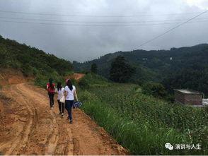 留坝县导游爆料案例视频,一场真实案例引发的行业深思