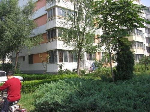 和平锦苑爆料最新消息,揭秘社区发展新动态  第3张